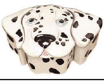 dalmatian box